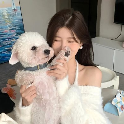 飞贼黑猫