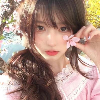 我是霸王龙